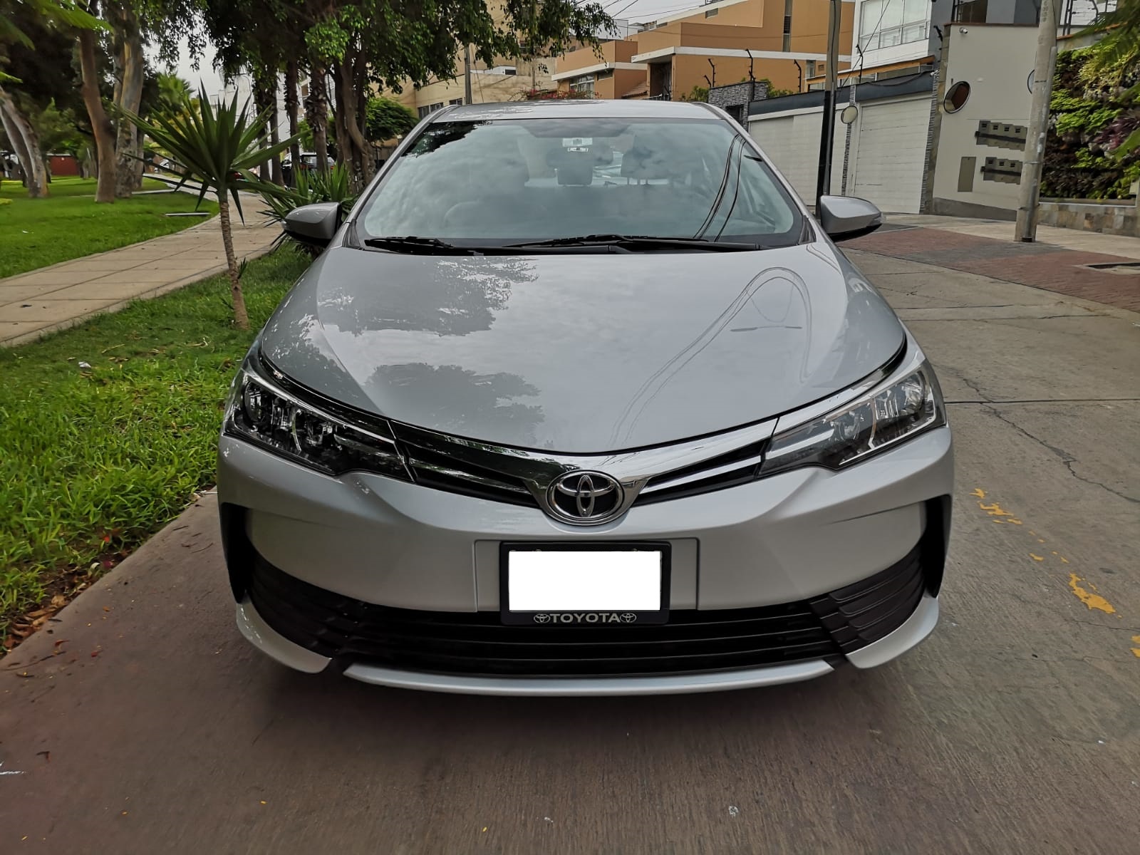 Toyota Corolla 2019